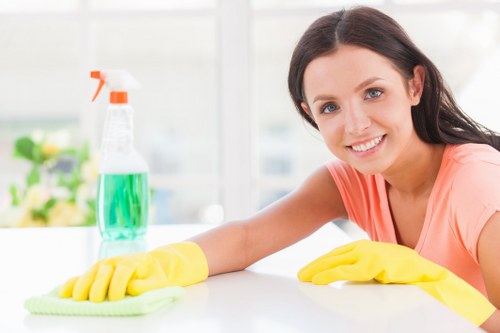 Professional sofa cleaning service in E16 for fabric upholstery