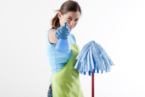 Local window cleaning service for homes and businesses in E16