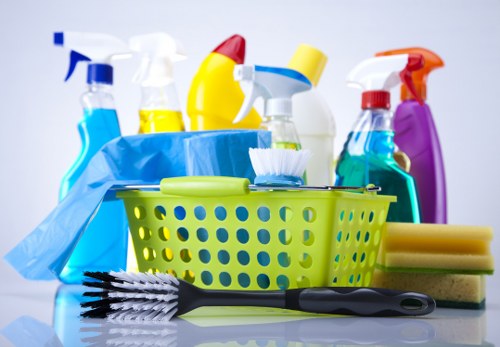 Professional house cleaning service in an E16 apartment setting