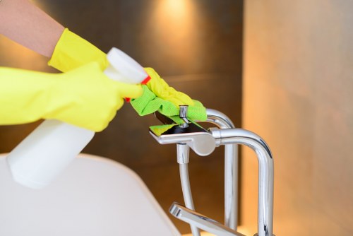 Professional stain removal service for carpets and upholstery in E16 homes