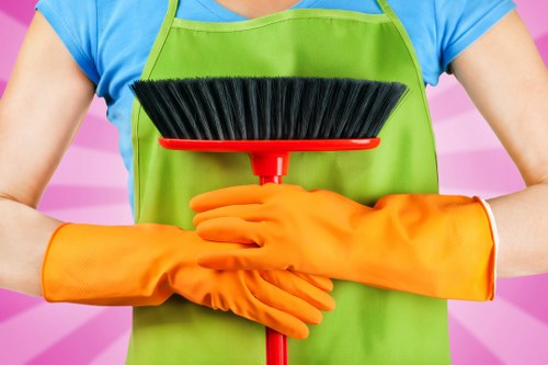 Professional oven cleaning service for E16 homes and flats