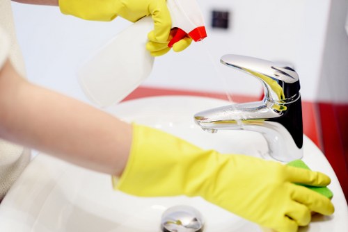 Professional gutter cleaning for properties across E16