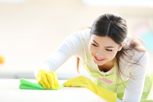 Regular domestic cleaning service for a family home in E16 with floor and surface care