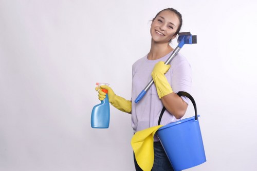 Deep steam cleaning for carpets in E16 residential properties