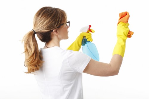 Cleaner windows and brighter views for properties in E16